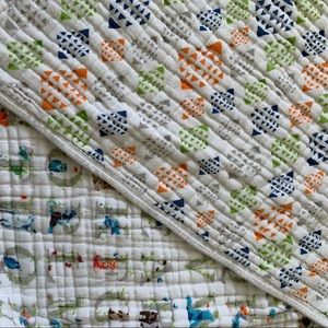 Aden and anais dream blanket